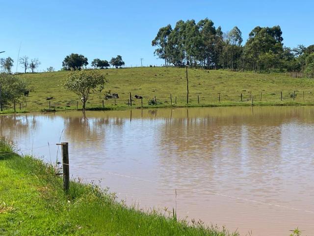 #770 JJDI - Chácara para Venda em Guareí - SP