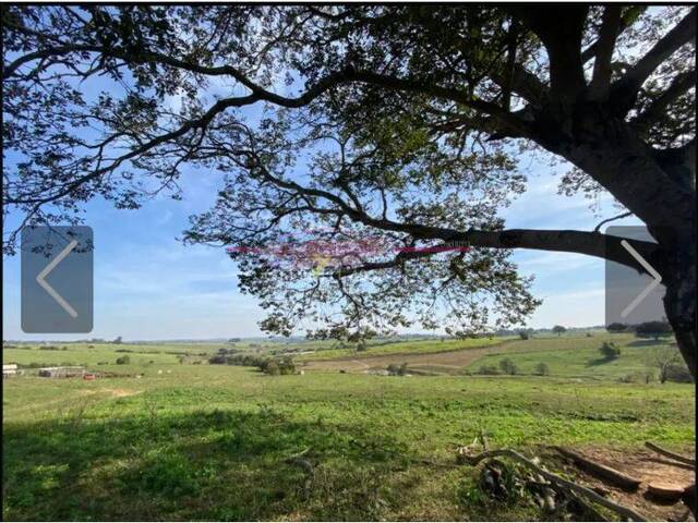 #797JJDI - Área para Incorporação para Venda em Cerquilho - SP - 2
