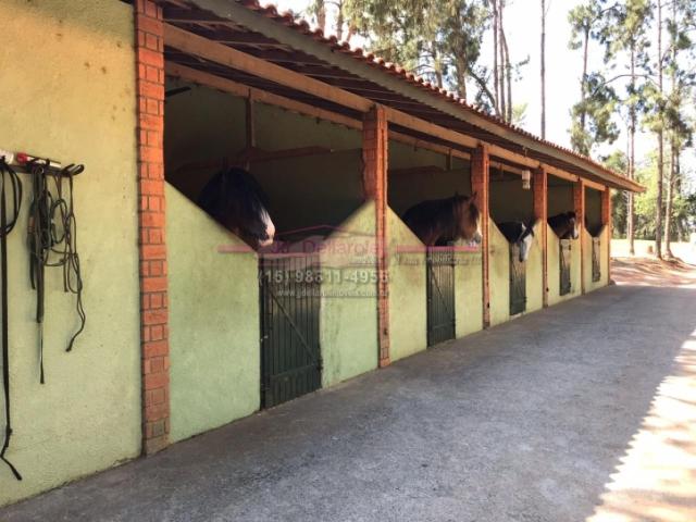 #253 haras - Haras para Venda em Boituva - SP - 2