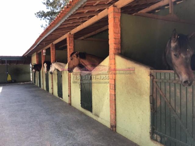 #253 haras - Haras para Venda em Boituva - SP - 3