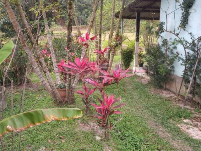 Sítio para Venda em Jacupiranga - 4
