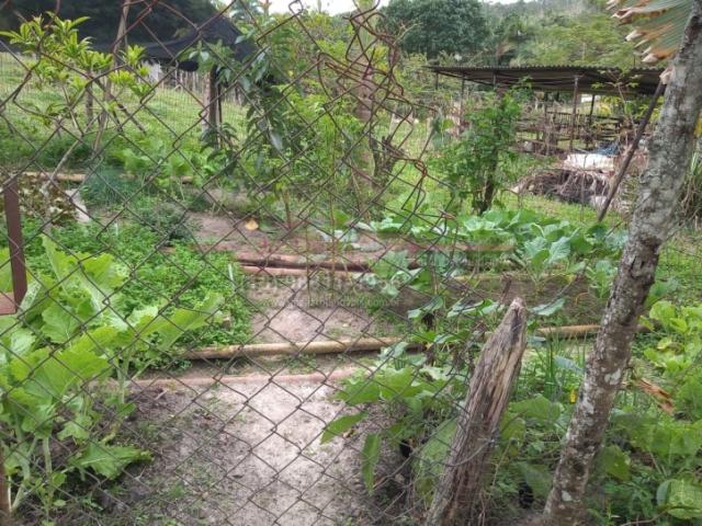Sítio para Venda em Jacupiranga - 5